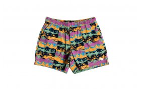 Shorts class v masculino - The North Face