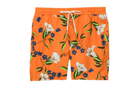 boardshort primary print elastic tr - Vans